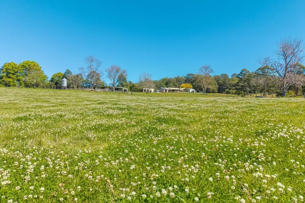 Main view of Homely rural property listing, 102 Fishers Ridge Rd, Mortons Creek NSW 2446