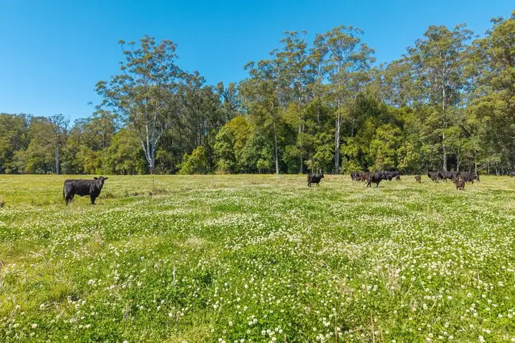 Second view of Homely rural property listing, 102 Fishers Ridge, Mortons Creek NSW 2446