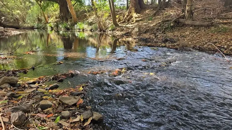 Third view of Homely rural property listing, 102 Fishers Ridge, Mortons Creek NSW 2446