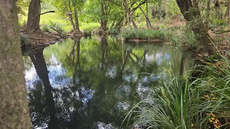 Fourth view of Homely rural property listing, 102 Fishers Ridge Rd, Mortons Creek NSW 2446