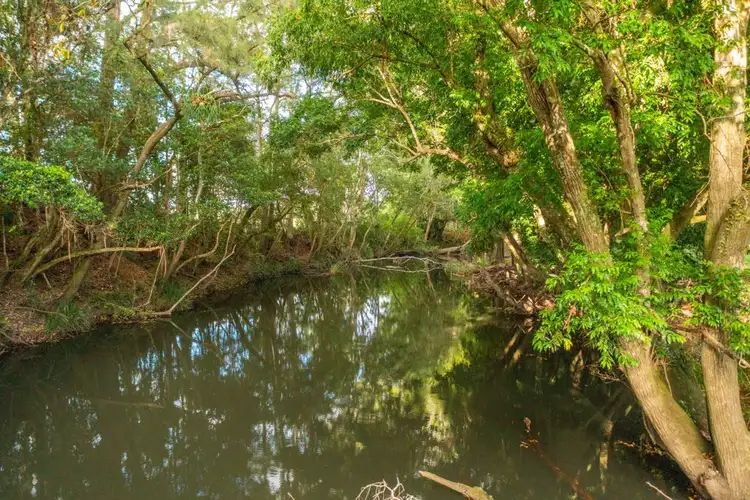 Sixth view of Homely rural property listing, 102 Fishers Ridge Rd, Mortons Creek NSW 2446