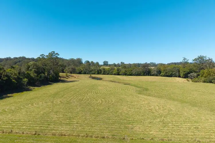 Seventh view of Homely rural property listing, 102 Fishers Ridge Rd, Mortons Creek NSW 2446