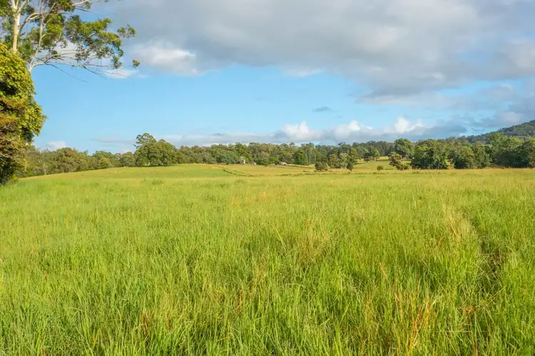 Seventh view of Homely rural property listing, 102 Fishers Ridge Rd, Mortons Creek NSW 2446