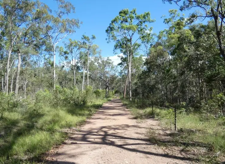 255 Mollenhagens Road, Winfield QLD 4670