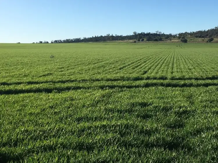 Mundry, Goolhi NSW 2379