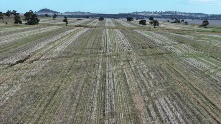 Seventh view of Homely rural property listing, Mundry, Goolhi NSW 2379