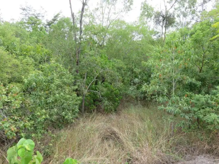 Fifth view of Homely land listing, LOT 52 LELONA DRIVE, Bloomsbury QLD 4799