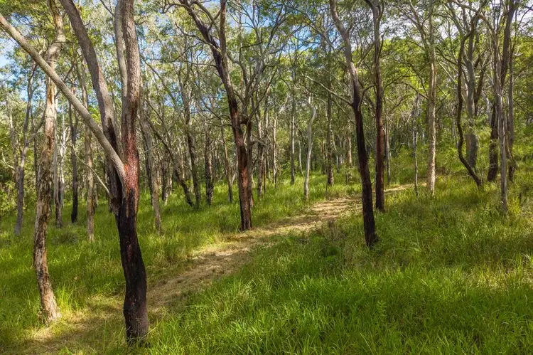 Fifth view of Homely rural property listing, 391 Loftus Road, Crescent Head NSW 2440