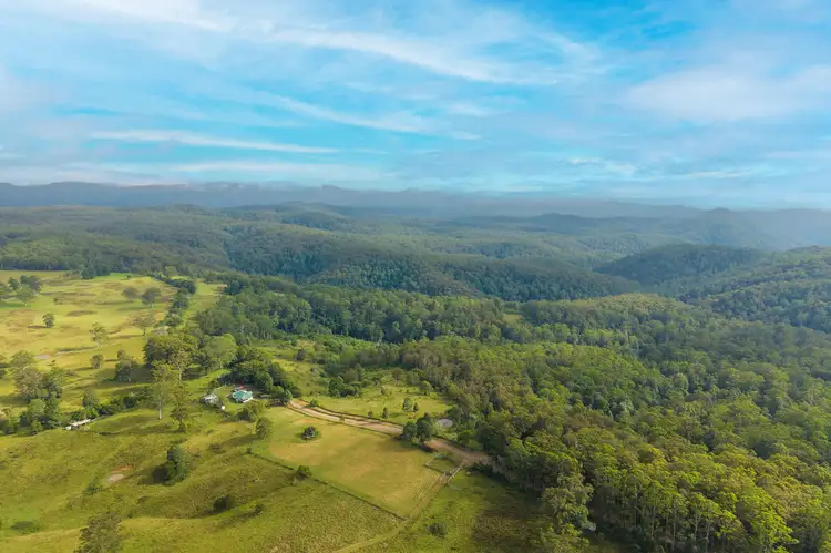 Second view of Homely rural property listing, 300 Doyles River Rd, Elands NSW 2429