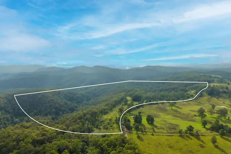 Third view of Homely rural property listing, 300 Doyles River Rd, Elands NSW 2429