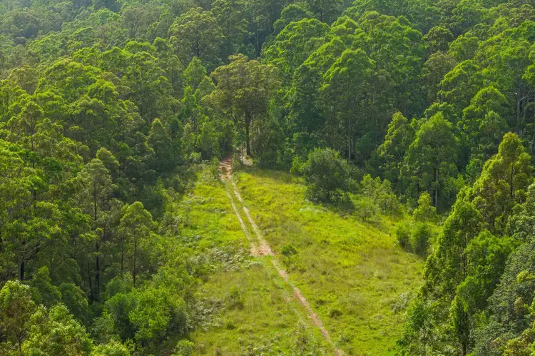 Fifth view of Homely rural property listing, 300 Doyles River Rd, Elands NSW 2429