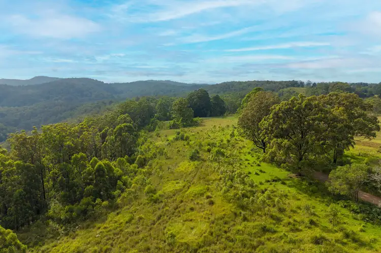 Sixth view of Homely rural property listing, 300 Doyles River Rd, Elands NSW 2429