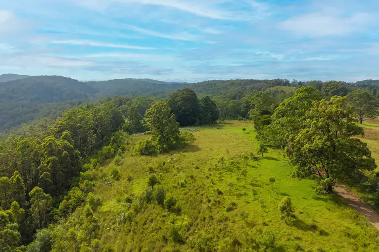Seventh view of Homely rural property listing, 300 Doyles River Rd, Elands NSW 2429
