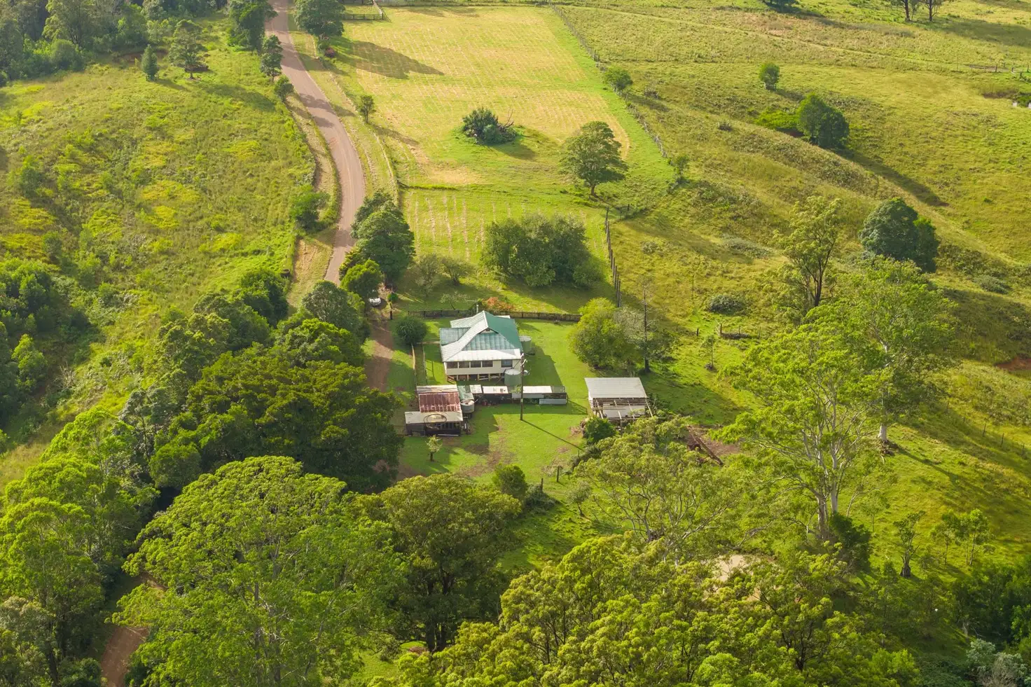 Main view of Homely rural property listing, 255 Doyles River Rd, Elands NSW 2429