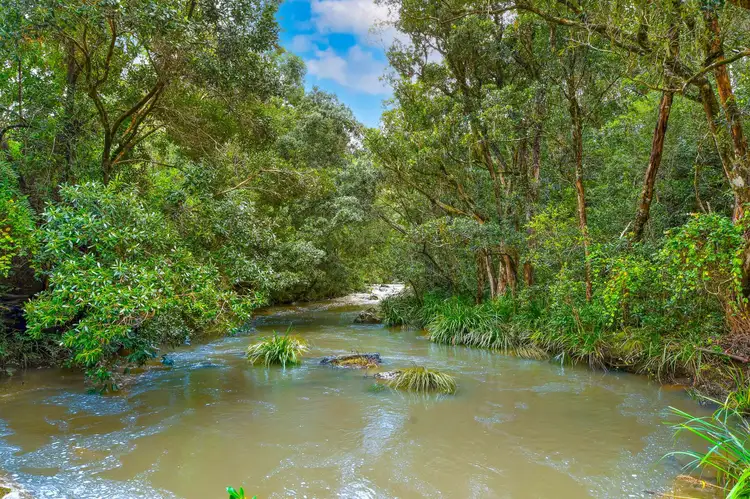Fourth view of Homely rural property listing, 255 Doyles River Rd, Elands NSW 2429