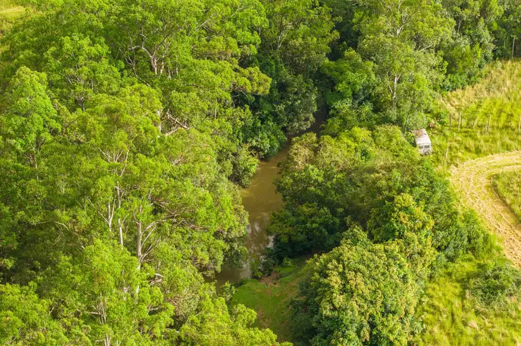 Fifth view of Homely rural property listing, 255 Doyles River Rd, Elands NSW 2429