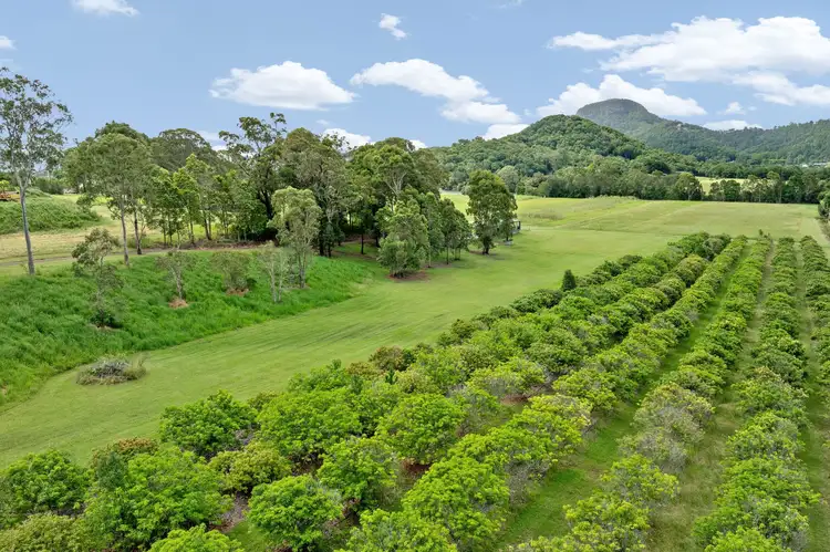 Third view of Homely house listing, 393 Yandina Bli Bli Road, Maroochy River QLD 4561