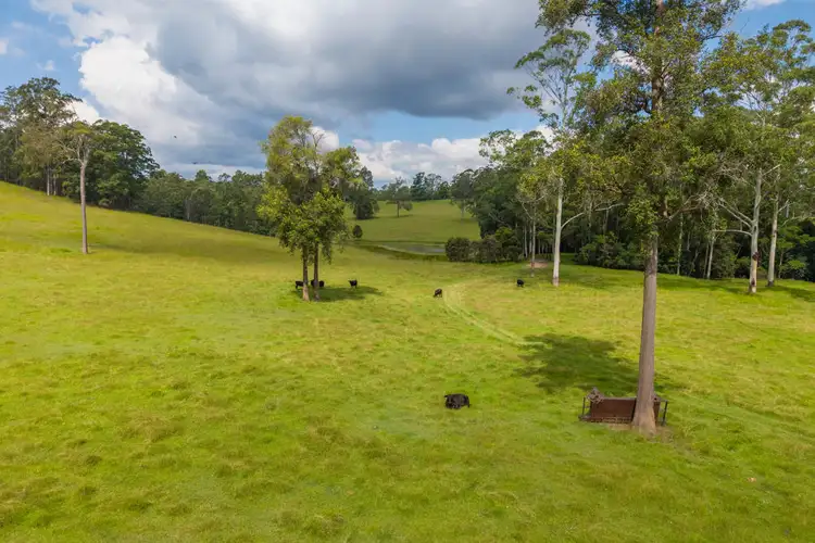 Second view of Homely rural property listing, 1905 COLLOMBATTI ROAD, Collombatti NSW 2440