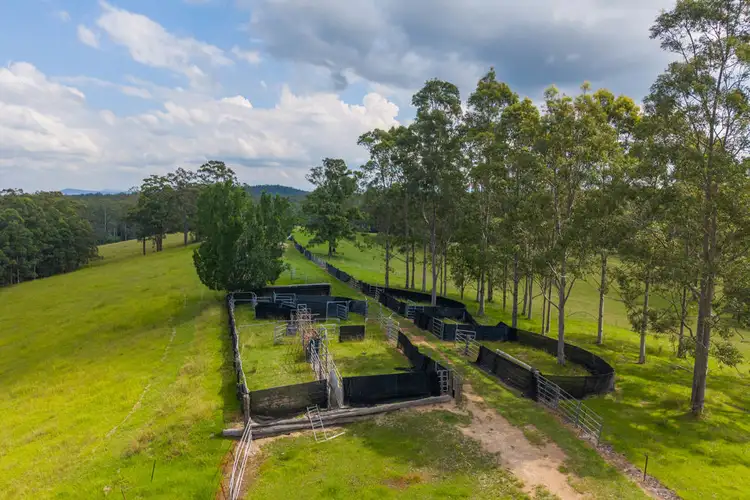 Third view of Homely rural property listing, 1905 COLLOMBATTI ROAD, Collombatti NSW 2440