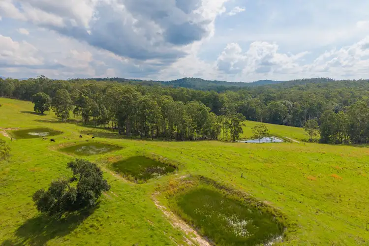 Fourth view of Homely rural property listing, 1905 COLLOMBATTI ROAD, Collombatti NSW 2440