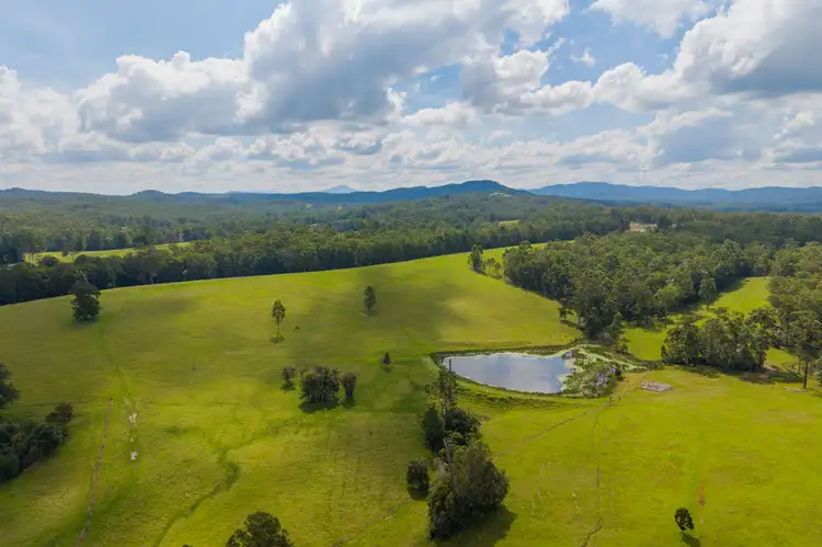 Fifth view of Homely rural property listing, 1905 COLLOMBATTI ROAD, Collombatti NSW 2440