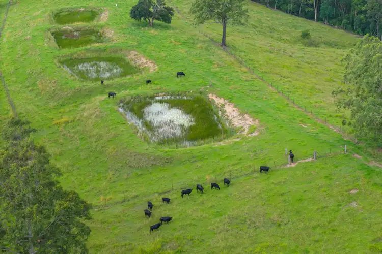 Seventh view of Homely rural property listing, 1905 COLLOMBATTI ROAD, Collombatti NSW 2440