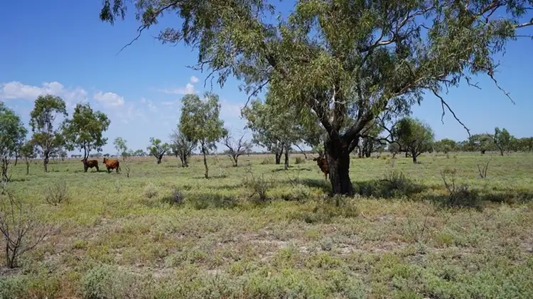 Second view of Homely rural property listing, Glenallyn & Pratts Hut, Brewarrina NSW 2839