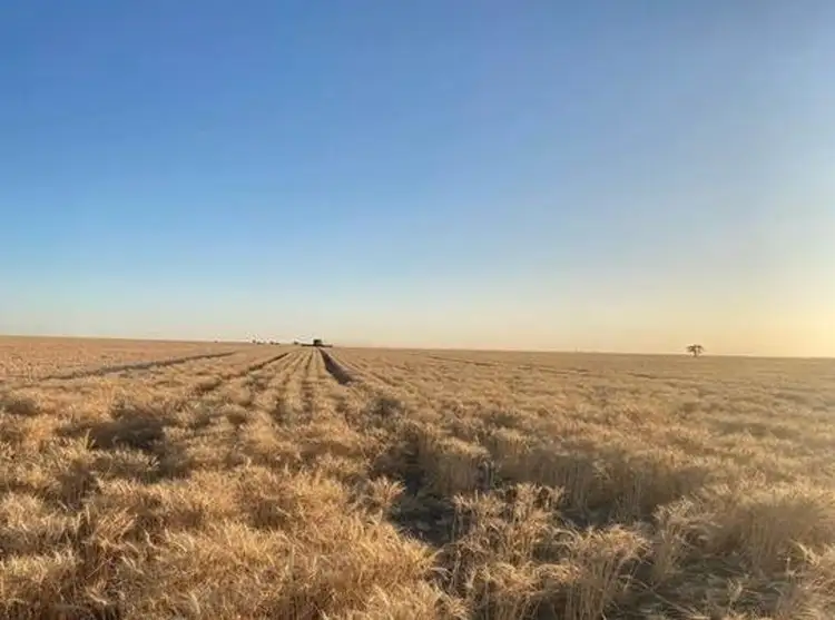 Sixth view of Homely rural property listing, Glenallyn & Pratts Hut, Brewarrina NSW 2839
