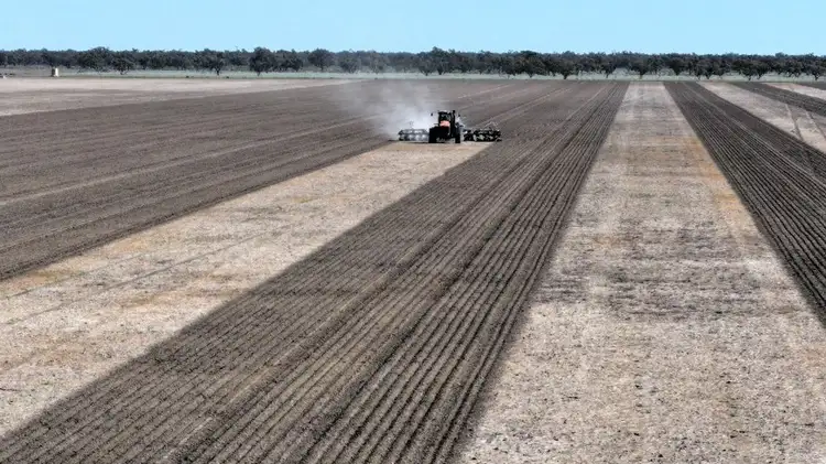 Seventh view of Homely rural property listing, Glenallyn & Pratts Hut, Brewarrina NSW 2839