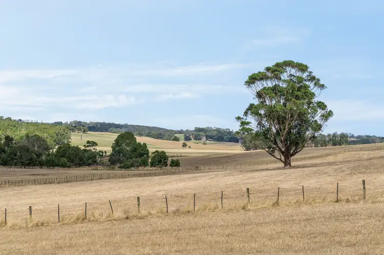 Third view of Homely land listing, 60 Pennyroyal Valley Road, Deans Marsh VIC 3235