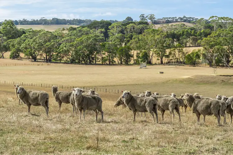 Fourth view of Homely land listing, 60 Pennyroyal Valley Road, Deans Marsh VIC 3235