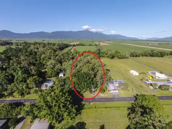 Fifth view of Homely house listing, 10 Littles Road, Gordonvale QLD 4865