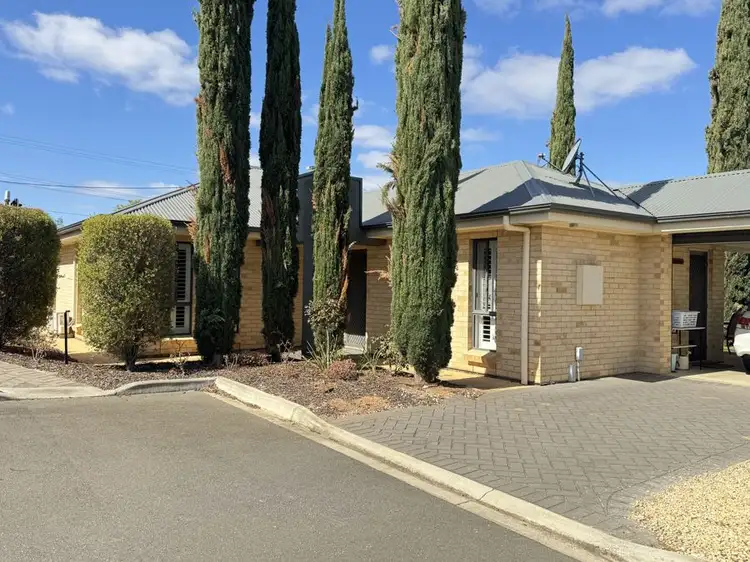 24C Weigall, Murray Bridge SA 5253
