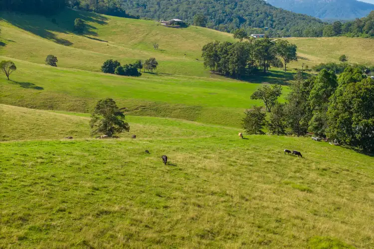 Seventh view of Homely rural property listing, 1052 Pipeclay Road, Pipeclay NSW 2446