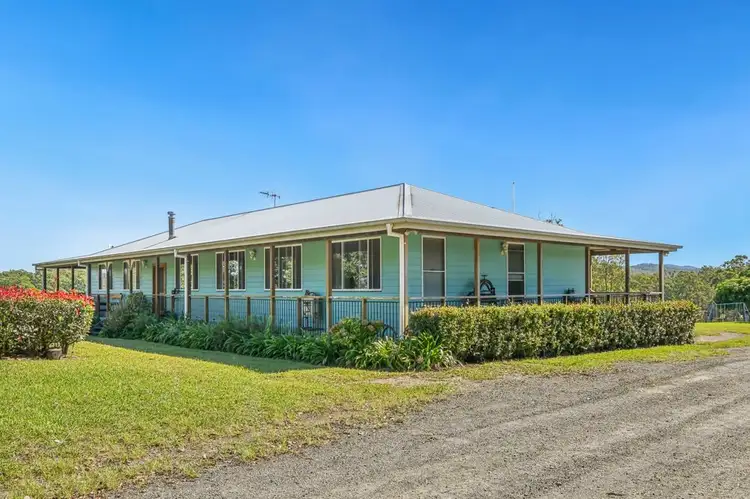 523 MORTONS CREEK ROAD, Mortons Creek NSW 2446
