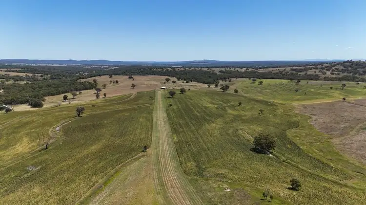 Main view of Homely rural property listing, 190 BROWN SPRINGS ROAD, Coolah NSW 2843