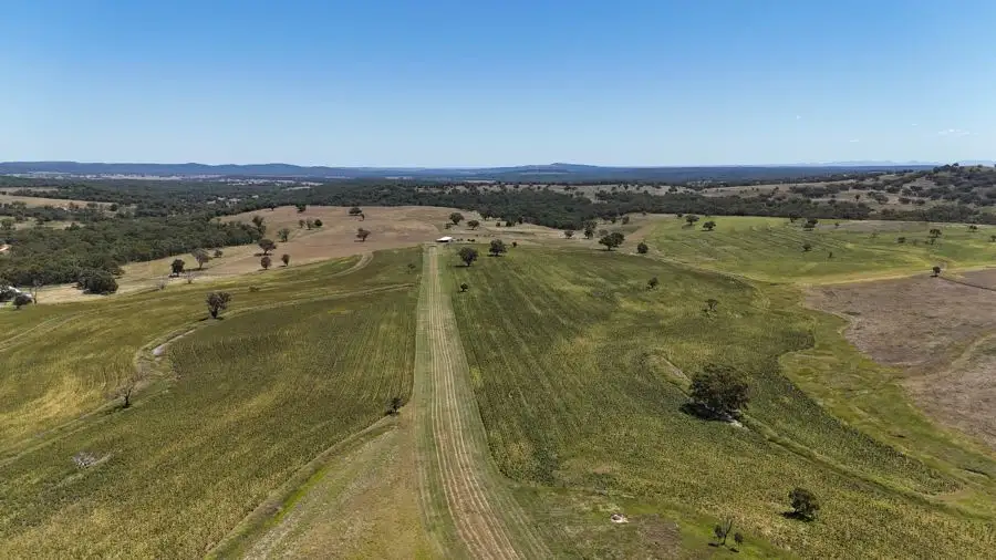 Main view of Homely rural property listing, 190 BROWN SPRINGS ROAD, Coolah NSW 2843