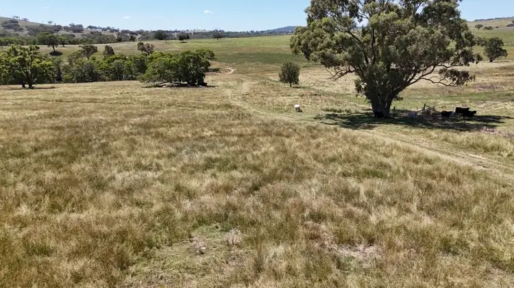 Third view of Homely rural property listing, 190 BROWN SPRINGS ROAD, Coolah NSW 2843