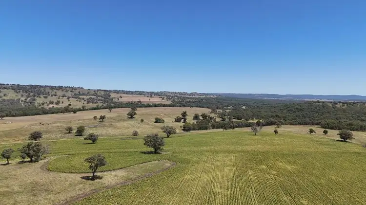 Fourth view of Homely rural property listing, 190 BROWN SPRINGS ROAD, Coolah NSW 2843