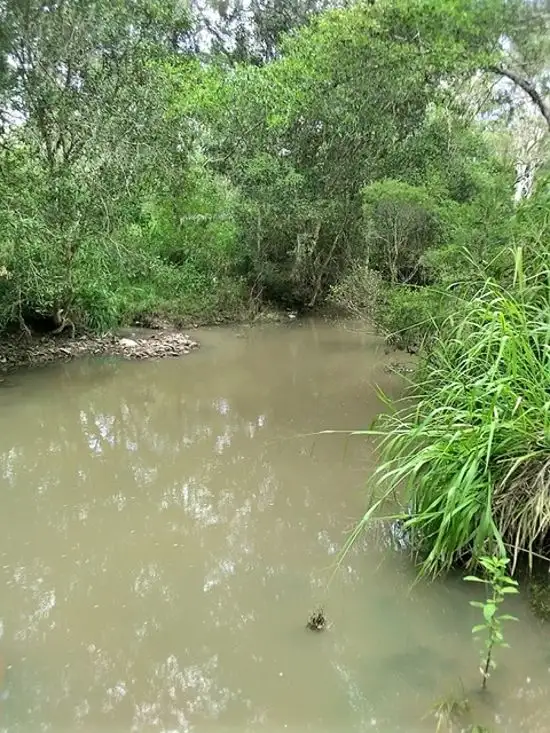 Third view of Homely land listing, Lot 103 Two Chain Rd Koah, Koah QLD 4881