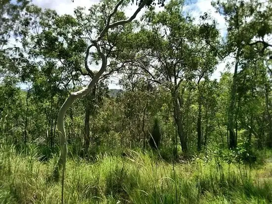 Seventh view of Homely land listing, Lot 103 Two Chain Rd Koah, Koah QLD 4881