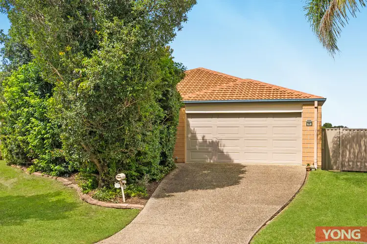 Main view of Homely house listing, 19 Mt Maroon Street, Algester QLD 4115