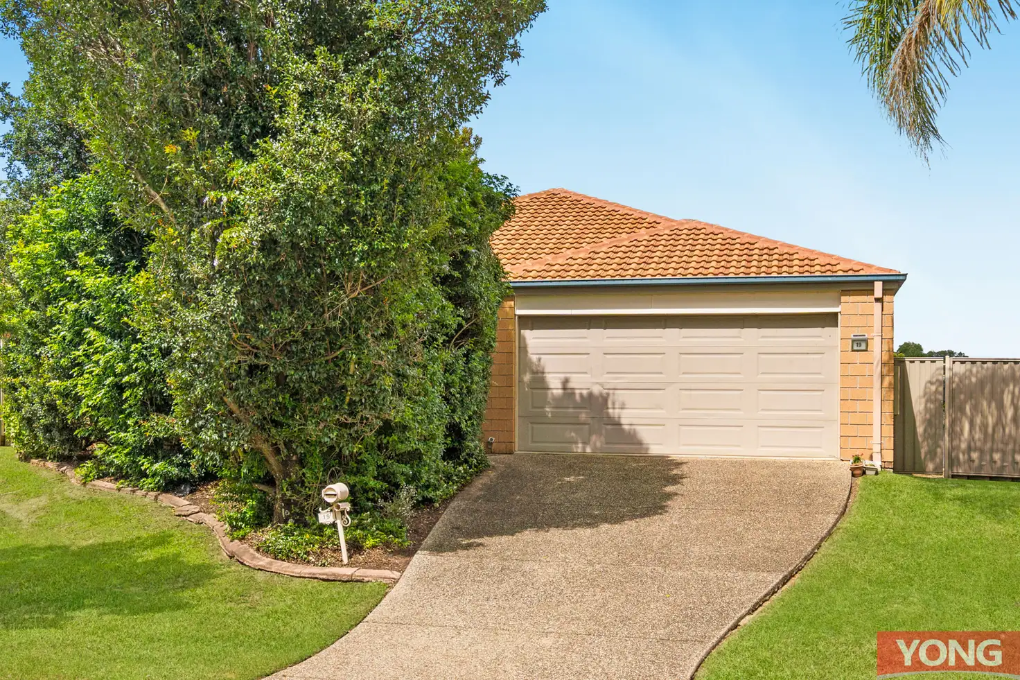 Main view of Homely house listing, 19 Mt Maroon Street, Algester QLD 4115
