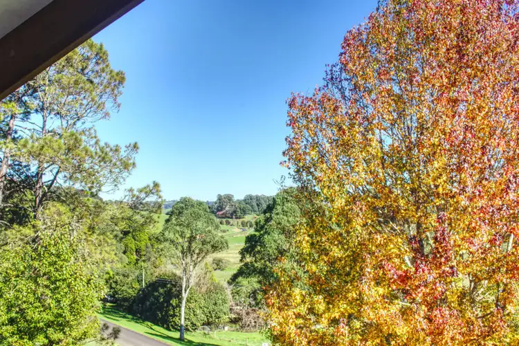 Main view of Homely house listing, 11 Hickory Street, Dorrigo NSW 2453