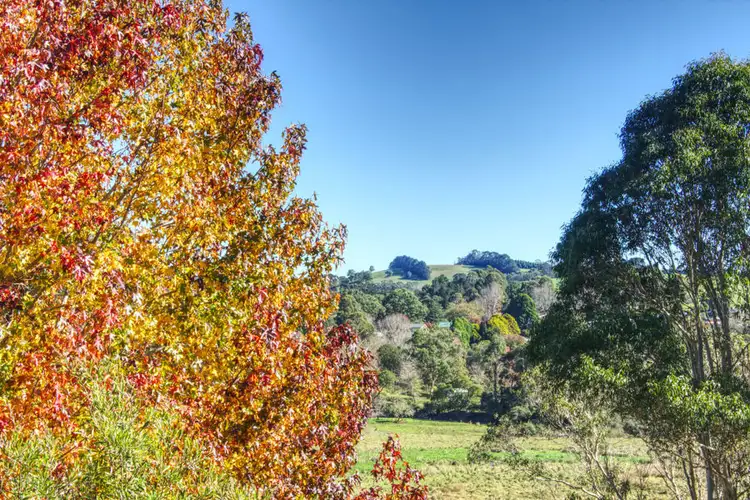 Sixth view of Homely house listing, 11 Hickory Street, Dorrigo NSW 2453