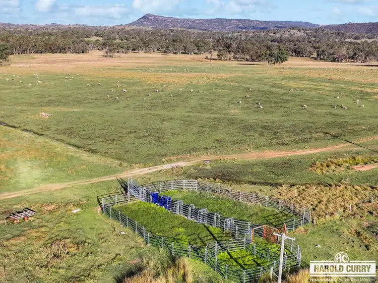 Fourth view of Homely rural property listing, 1623 Bruxner Way, Tenterfield NSW 2372