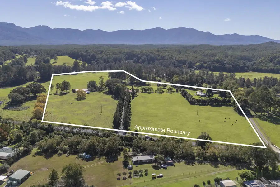 Main view of Homely rural property listing, 1596 Waterfall Way, Bellingen NSW 2454