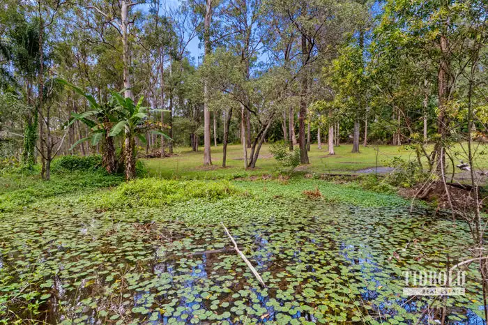 Fifth view of Homely rural property listing, 32-34 Hillcrest Road, Sheldon QLD 4157