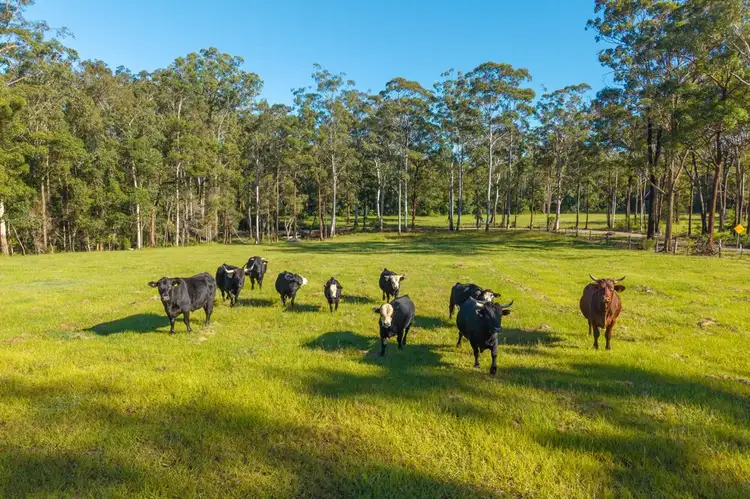 Third view of Homely rural property listing, 91 Haydons Wharf Road, Telegraph Point NSW 2441