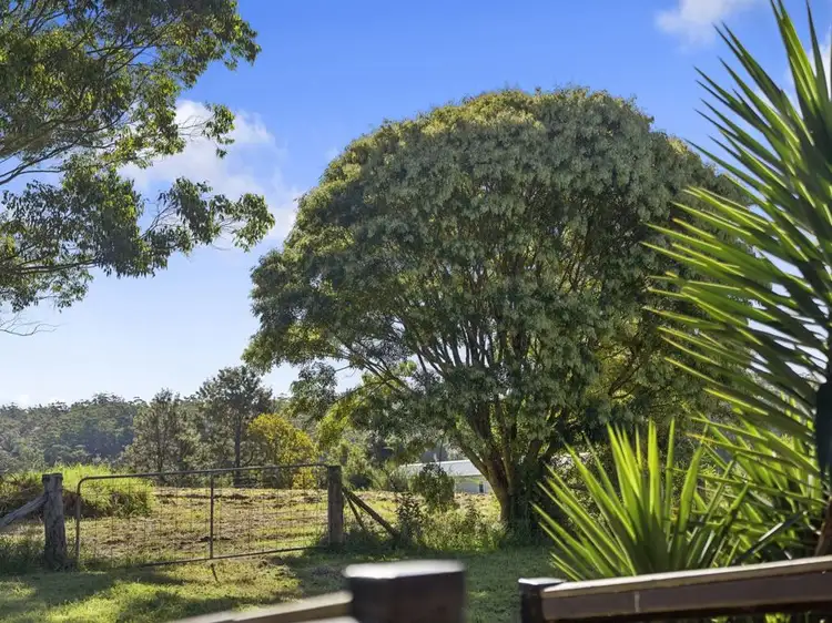 Fifth view of Homely house listing, 99 Pine Avenue, Ulong NSW 2450